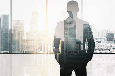 directors liability cra canada tax